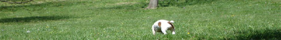 Buenos Aires header image 2