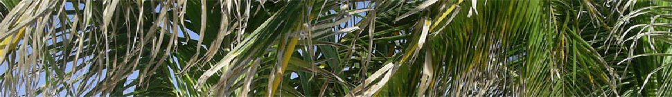 Buenos Aires header image 3